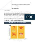 Matrix Report Guideline - 2 PDF