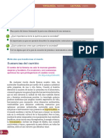 PDF Millas Lizet Garay PDF