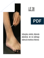 Le38 PDF