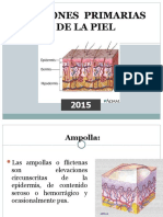 Lesiones Primarias de La Piel 2015