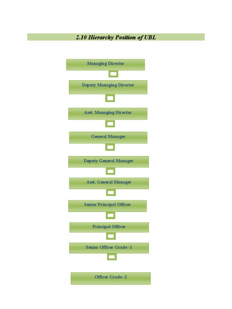 UBL Hierarchy and Organizational Structure | PDF