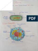 5.- Clasificación de la célula.pdf