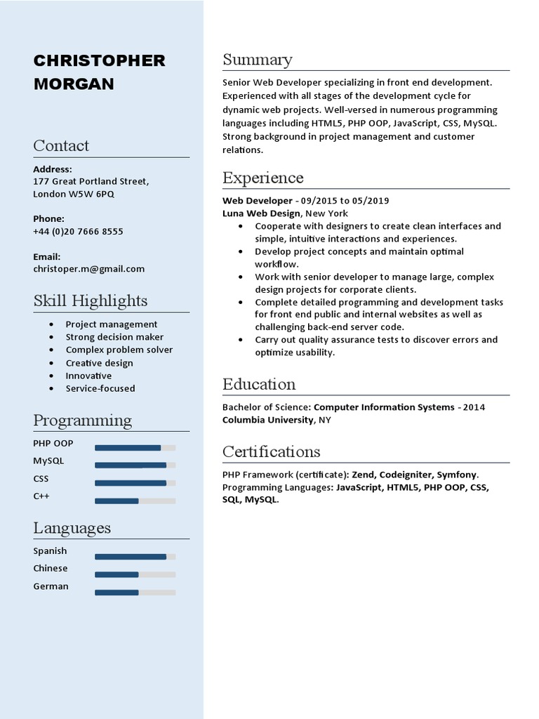 Senior Web Developer Profile Summary | PDF