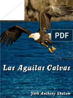 Las Aguilas Calvas