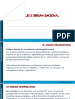 P5 - Estrategia Empresarial - Analisis Organizacional