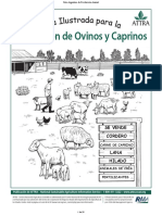 1. Ovinos ilustrada.pdf