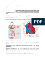 Generalidades Del Sistema Cardiovascular