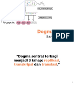 01 Tutor Dogma Sentral PDF