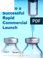 Keys To A Successful Rapid Commercial Launch: Executive Summary