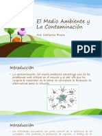 Medio Ambiente y Contaminación