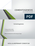 CEMENTOGENESIS: THE FORMATION OF PRIMARY AND SECONDARY CEMENTUM
