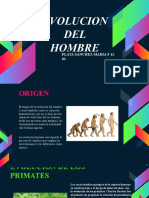 Diapositivas Evolucion