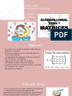 Las Matrices