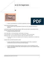 Client Copy How To For Beginners PDF