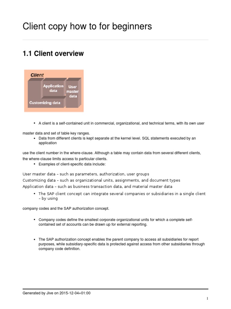 Beginner's Guide to SAP Client Copy | PDF | Software Engineering ...