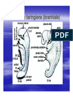 LP3-embrio.pdf