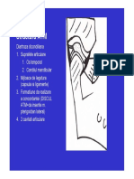 LP5 PDF