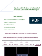 Avances Investigaciones UdeA-UDENAR