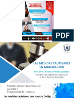 Medidas Cautelares DR Silvia Patricia Valdez Quezada