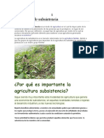 Agricultura de Subsistencia