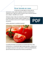 Cultivar Tomate en Casa