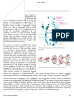 Mitosis Family PDF
