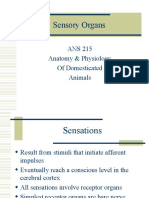 Sensory Organs: ANS 215 Anatomy & Physiology of Domesticated Animals