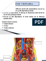 Analogi Fisiologi (Sistem Urinaria)