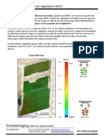 Indice de Végétation NDVI