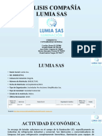 Análisis Empresa Lumia Sas
