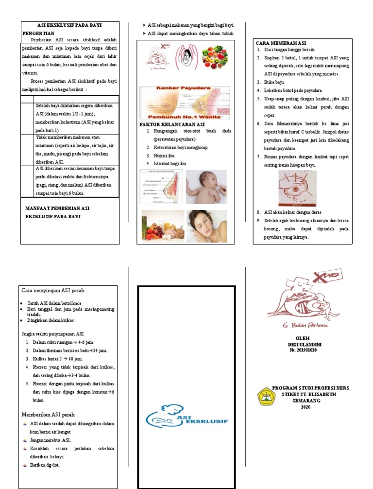 Leaflet Asi Eksklusif | PDF