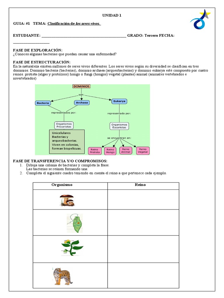 Guias Ciencias Tercero Corregidas | PDF | Estudios de idiomas extranjeros |  Salud y bienestar