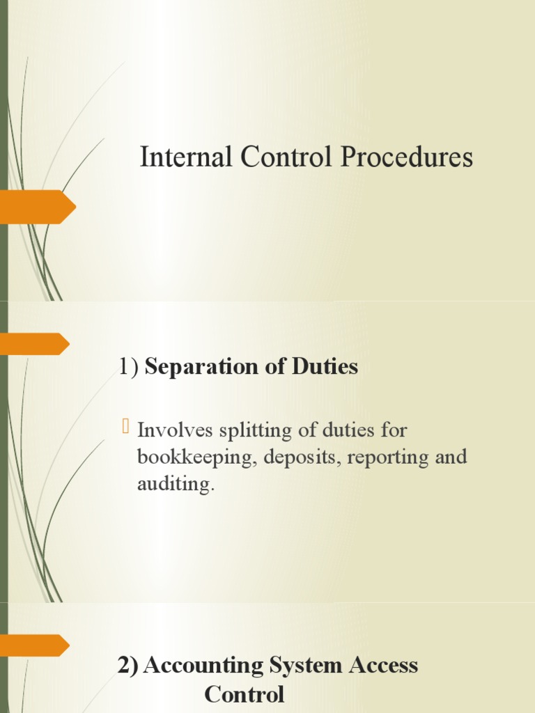 Internal Control Procedures PDF
