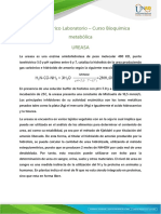 Marco Teorico Laboratorio Curso Bioquimica Metabolica PDF