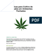 58292539 Tecnicas Para Cultivo de Cannabis Em Ambientes Fechados