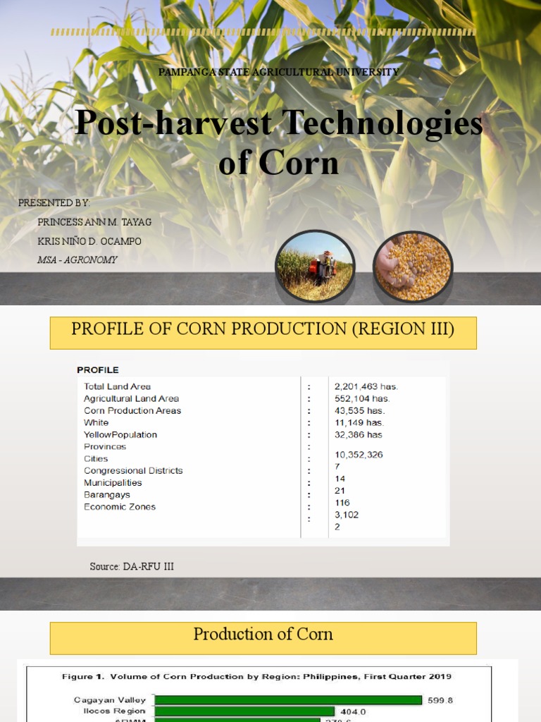 Post-Harvest Technologies for Corn | PDF | Maize | Wheat