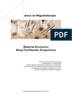 Guia Básico de Magnetoterapia.pdf