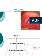2 Radang 1