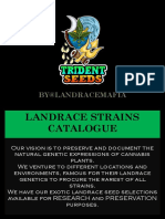 Landrace Cannabis Strains Catalogue