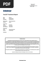 AMA-75 Main Frac FracCAT Report PDF