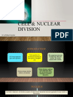 Cell & Nuclear Division