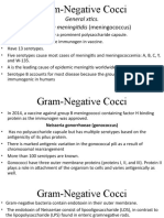 General Xtics. Neisseria Meningitidis (Meningococcus) : Gram-Negative Cocci