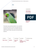 Indian Ring-Necked Parakeet Personality, Food & Care - Pet Birds by Lafeber Co