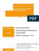 C3-Plan de Tratament Pentru GAD PDF