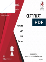 Certificat de Absolvire PDF