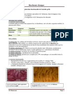 7-Cours Intestin4eme PDF