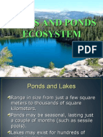 Lakes and Ponds Ecosystem