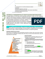 Resumo - Teoria Geral Do Direito Constitucional