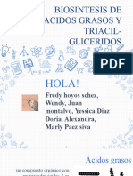 Biosintesis de Ag y Trigliceridos