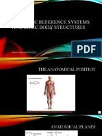 Anatomic Reference Systems and Basic Body Structures